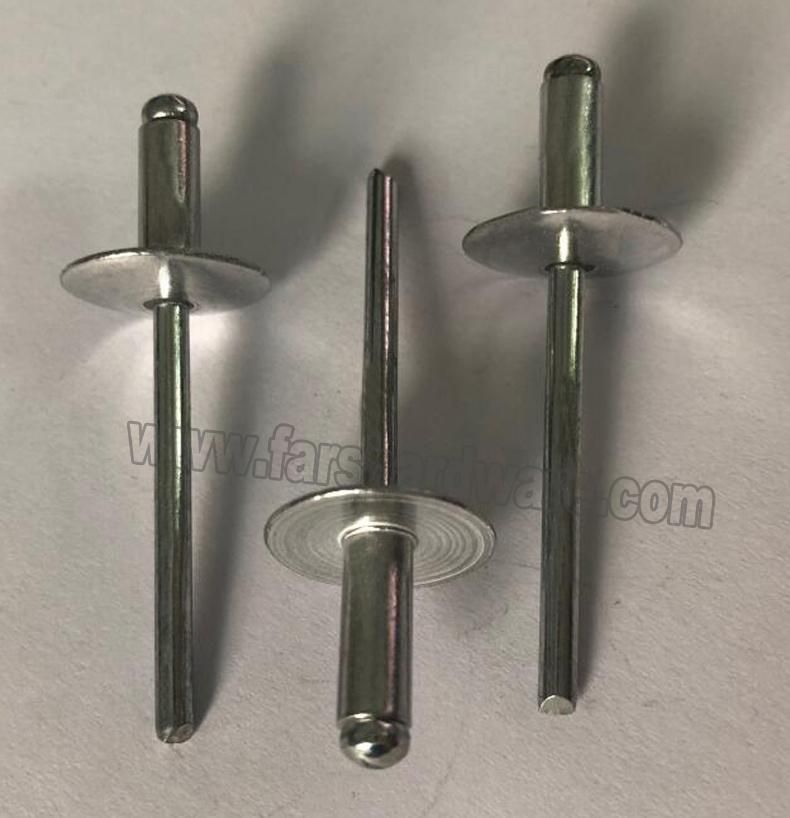 China Supplier of Large Head Pop Blind Rivet