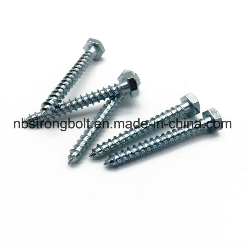 DIN571 Hex Head Lag Screw with Zinc Plated More Than 10 Years Produce Expricence Factory