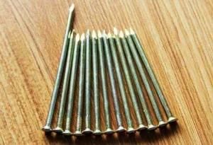 Wholesale Galvanized Roofing Nails with Best Price