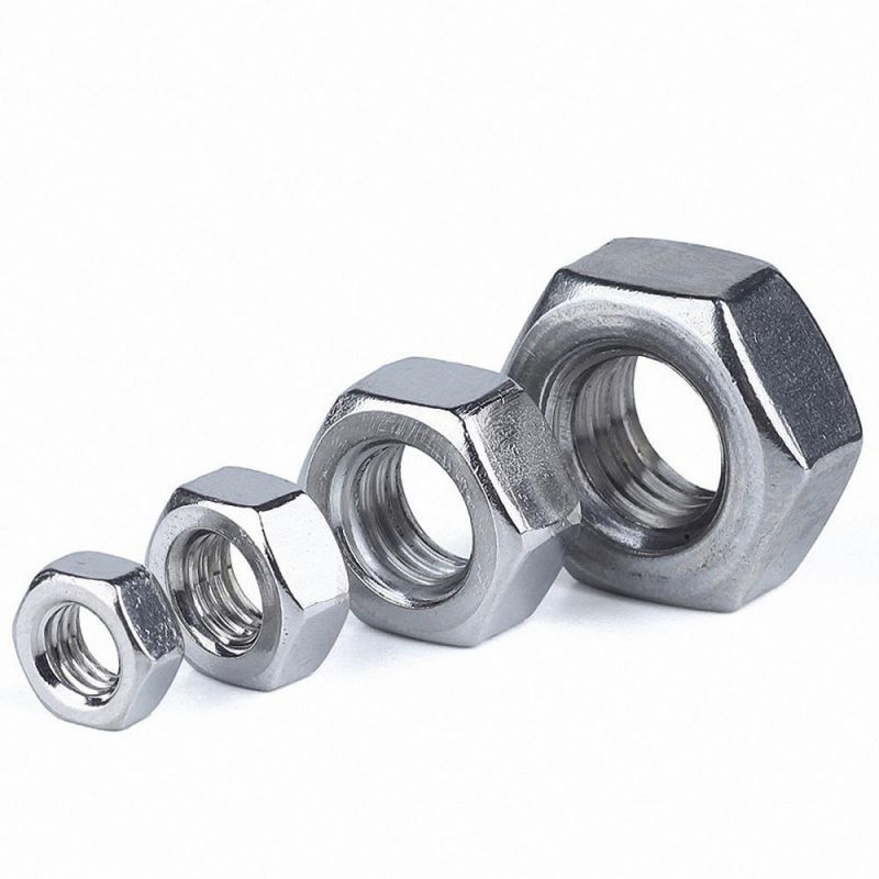 Stainless Steel Hex Cap Nut