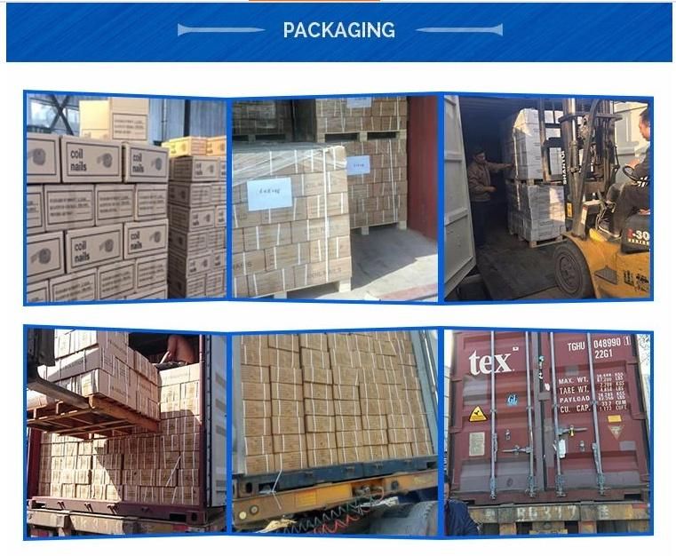 Professional Manufacturer Smooth Red Coated Coil Nail for Pallet
