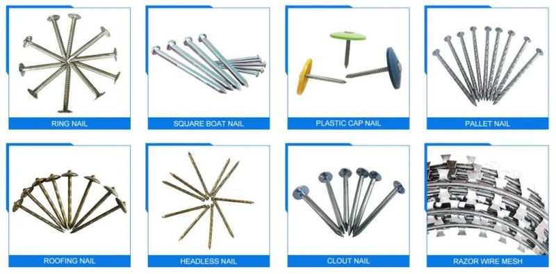 Clout Nails Clout Nails 20 X 2.8mm Galvanised Clout Nails