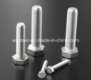 Ss Hexagon Bolts and Nuts