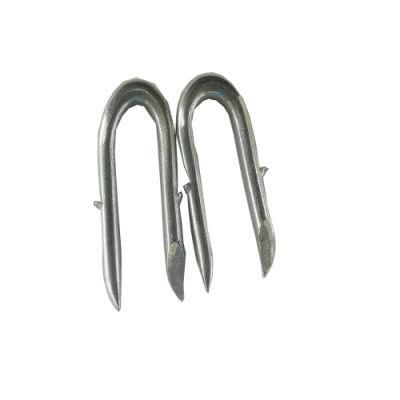 U Fence Staple/U Shaped Nail