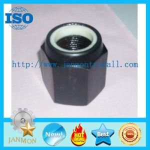 High Strength Nylon Lock Nuts, Black Hex Nuts, Self Locking Nuts, Grade 10 Hexagonal Nylon Lock Nut