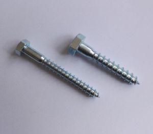 Coach Screw, Hex Head Wood Screw, DIN 571, Zp