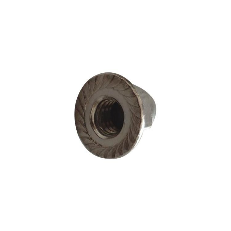 Stainless Steel Flange Cap Nuts, Hex Serrated Flange Cap Nut