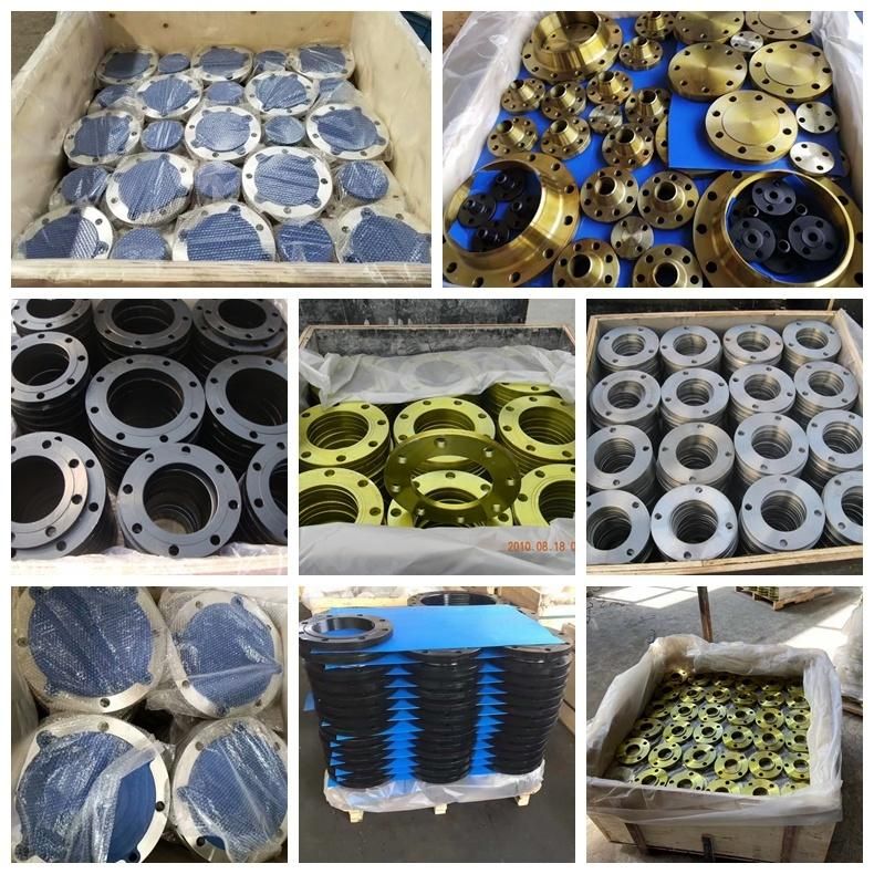 Forged ASME B16.5 ASTM A182 F304 316L 150# RF Stainless Steel Pipe Flanges