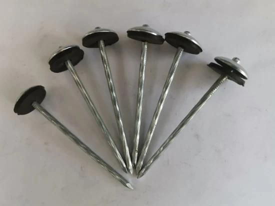 China Hardware Fastener Good Price Umbrella Price Umbrella Roofing Nails Umbrella Head Galvanized 1-3 Inch Corrugated Roofing Nail