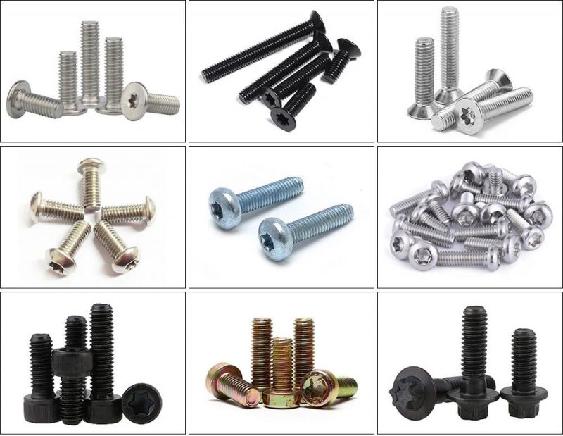 China Factory SS304 SS316 DIN912 High Quality Torx Socket Round Head Cap Bolts Spindle Motor Mount Bolt Hexagon Socket Bolt Inside Hexagonal Bolt