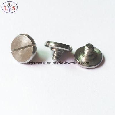 Stainless Steel Slotted Step Screw with High Quality