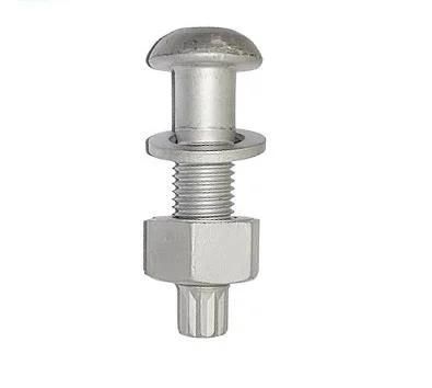 Hot DIP Galvanized Dacromet Round Head Tension Control Bolt 1&prime;&prime;*5&prime;&prime;a490tc Bolt