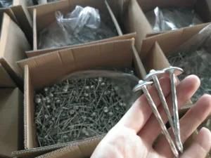 Bwg9 Roofing Nail 25kg Carton Bulking Packing