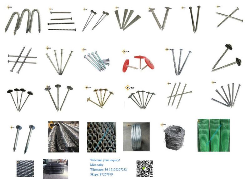 Tianjin Factory Cheap Galvanized Steel Concrete Nails Steel Nails Masonry Nails