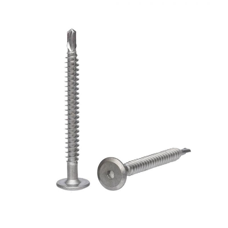 Electrodeposition Coating Screw