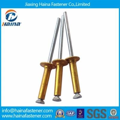 Gold Color Paint Aluminium Steel Peel Type Blind Rivet