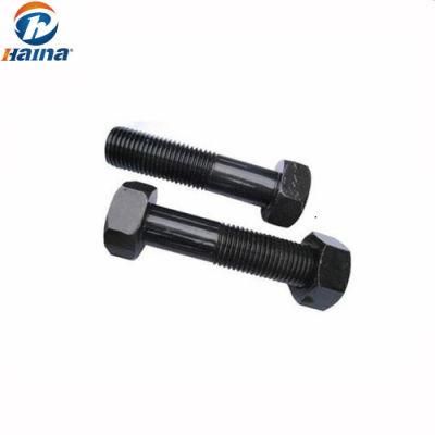 Stainless Steel M25X110 High Strength Hex Bolt with Nut