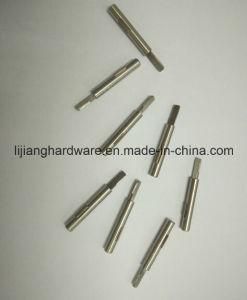 Fasterner Screw
