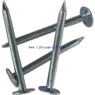 High Quality Flat Bottom Hat China Factory Polished Galvanized Building Furniture Common Round Big Head Clout Nail