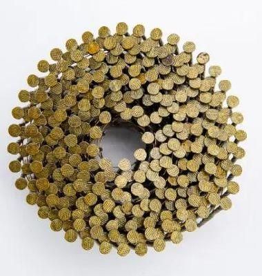 Coil Nails by Pneumatic Gun Used for Wood Packaging