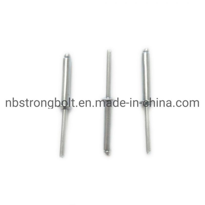 China High Quality Blind Rivet