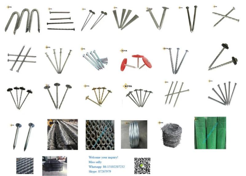 Steel Cut Nails Steel a Nail Professional Harden Steel Cut Masonry Nails From China