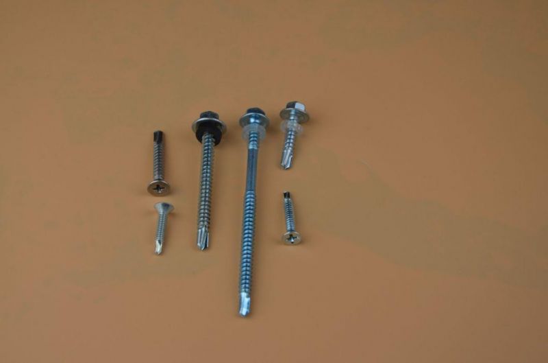 Screw/Torx Screw/Epoxy Screw/Self Tapping Screw/Self Drilling Screw