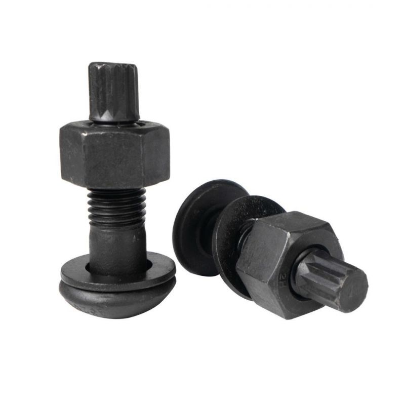 F3125 F1852 F2280 Round Head Tension Control Bolt A325/A490 Tc Bolt