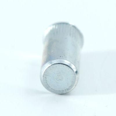 Reduce Head Round Body Plain Rivet Nut Zinc Plated