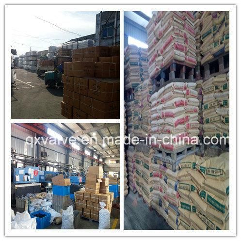 HDPE Fitting Pipe Flange Adapter Flange Stub End Vessel Flange