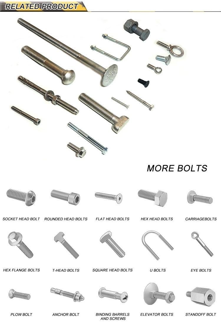 Good Quality Hot Selling Metal Eyelet Pigtail Screw