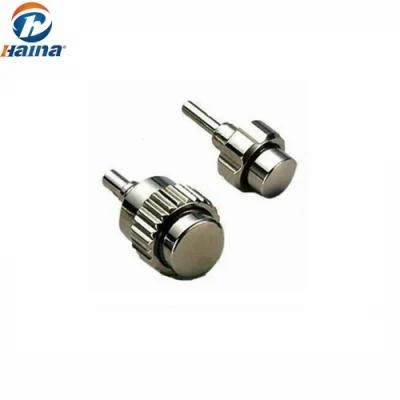 Stainless Steel Watches Pusher Screw (micro screw)