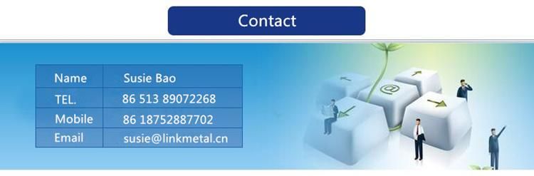 Galvanized DIN975 G4.8 Threaded Rod (zinc plated)