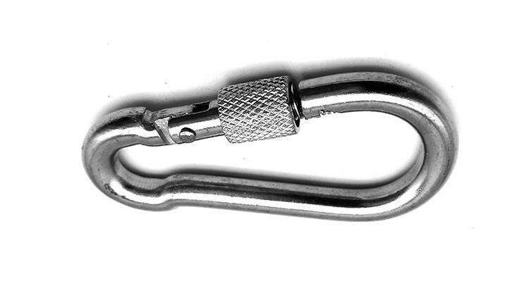 Hot Sale Stainless Steel Snap Hooks with Screws DIN5299d for Riggings