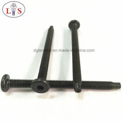 Flat Head Hexagon Socket Screw with Point Hexagon Bolt