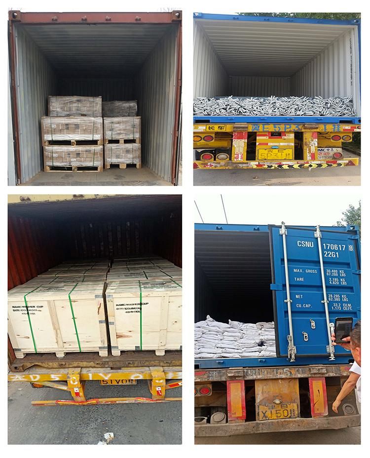 HDG U Bolt with Good Quality