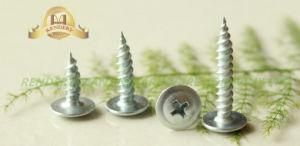 Modified Truss Head Fine Thread Galvanized Self Tapping Serrate Screw