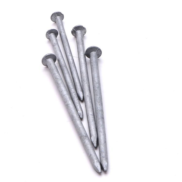 Nigeria Zambia Namibia Market/Most Popular Round Wire Nails Iron Nail Box Common Round Iron Wood Nail
