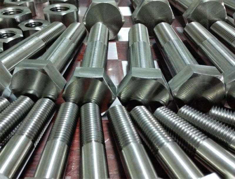 Titanium Parts/OEM Custom Precision CNC Machining Fastener Titanium Nuts