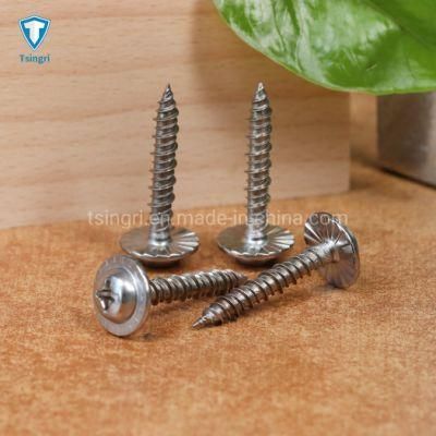 Stainless Steel Phillips Truss Round Washer Head Hi-Lo Thread Self-Tapping Screws
