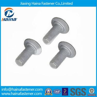 Guardrail Bolts ASTM A307 Grade a H. D. G