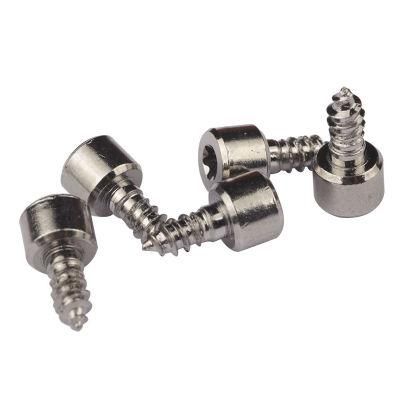 Custom Nickel Plated Cylindrical Head Torx Self Tapping Screws for Speakers