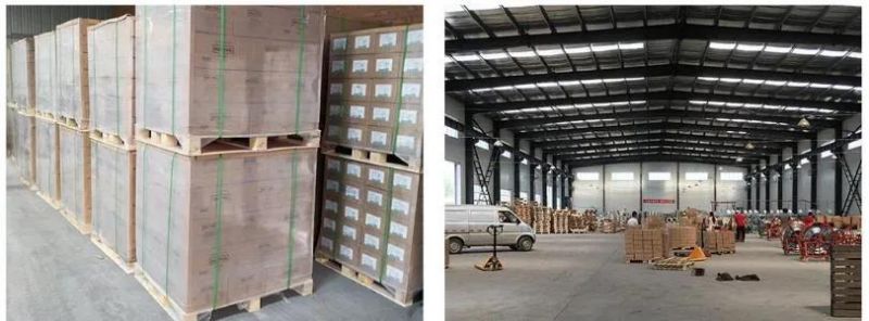 Sharp Point U Nails /Fence Staple/Electrol Galvanized High Quality Lower Price
