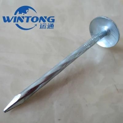 Galvanized Roofing Nail/Rubber Padded Plain Rod Roofing Nail/Polished Galvanized