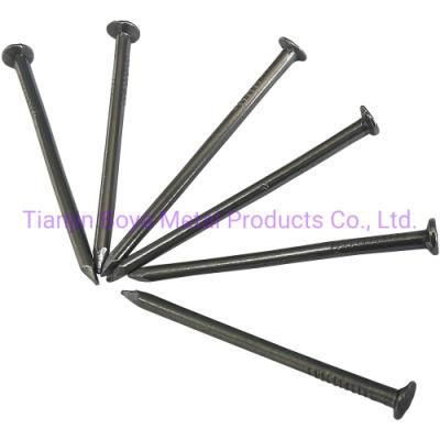 Polished Common Iron Nail/Steel Nail Made in China