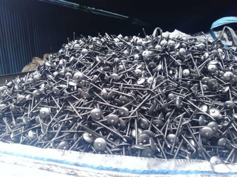 Hot Sale Q235 Iron Nail Perfect Quality Electric Galvanized Roofing Nail with Plain Shank and Twisted Shank