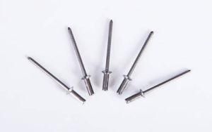 China Supplier Machinery Industry Special Enclosed Core Pulling Rivets
