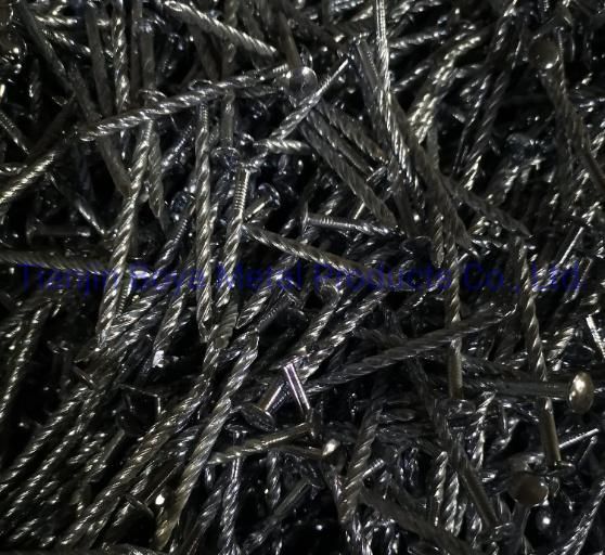 Galvanized Assemle Roofing Nail/Umbrella Nail/Pallet Nail/Iron Nail/Hardware/Building Nail