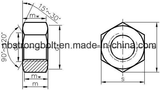 Hex Nut