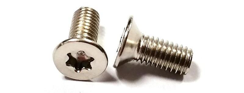 Stainless Steel Flat Csk Torx Star Machine Countersunk Head Screw